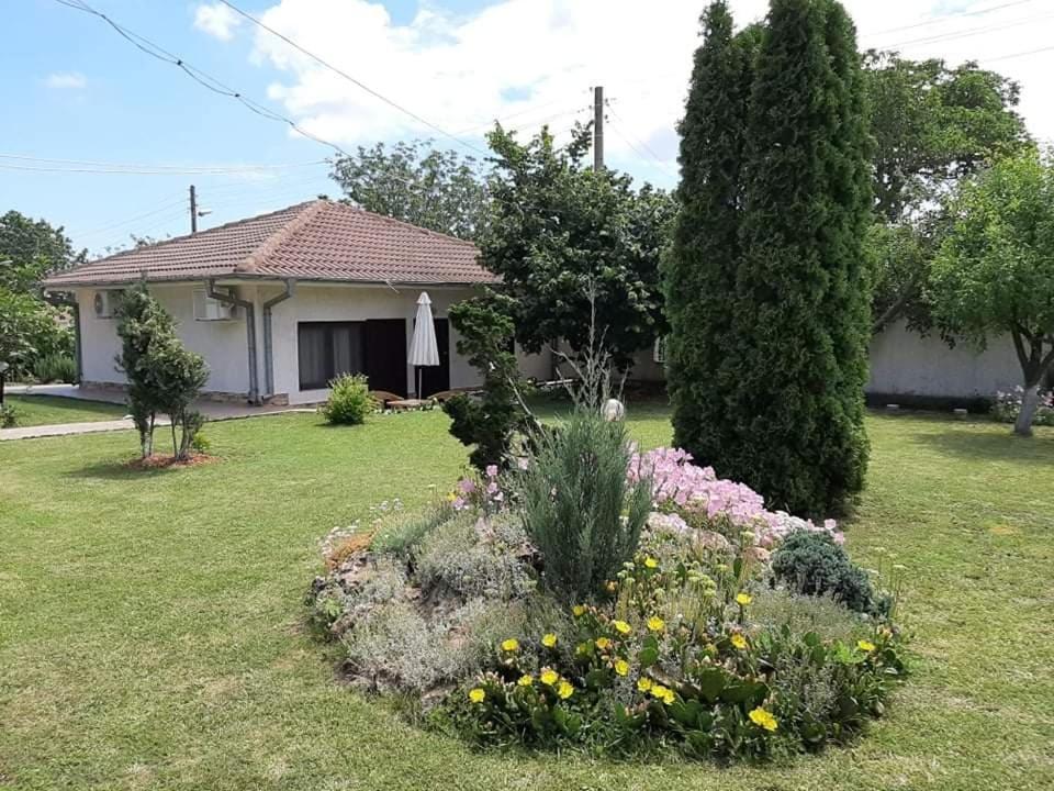 Guesthouse Oasis-שבלה מראה חיצוני תמונה